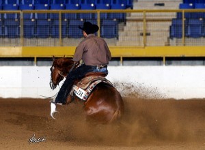 Reining Horse Trainers in Colorado