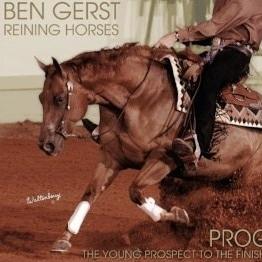 Reining Horse Training, Non Pro Coaching, and Reining Clinics