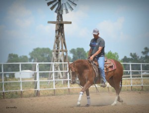 Reining Horse Trainer in Fort Collins, Colorado