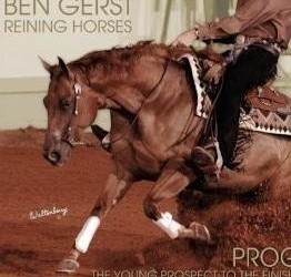 Reining Horse Training, Non Pro Coaching, and Reining Clinics